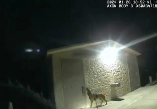 Φλόριντα: Η στιγμή που σκύλος της Αστυνομίας εντοπίζει 11χρονη αγνοούμενη