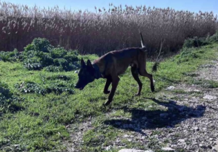 Μεσολόγγι: «Από μία αποδεικτική μαρτυρία…» – Πώς ο εκπαιδευμένος σκύλος βρήκε τη σορό του Μπάμπη