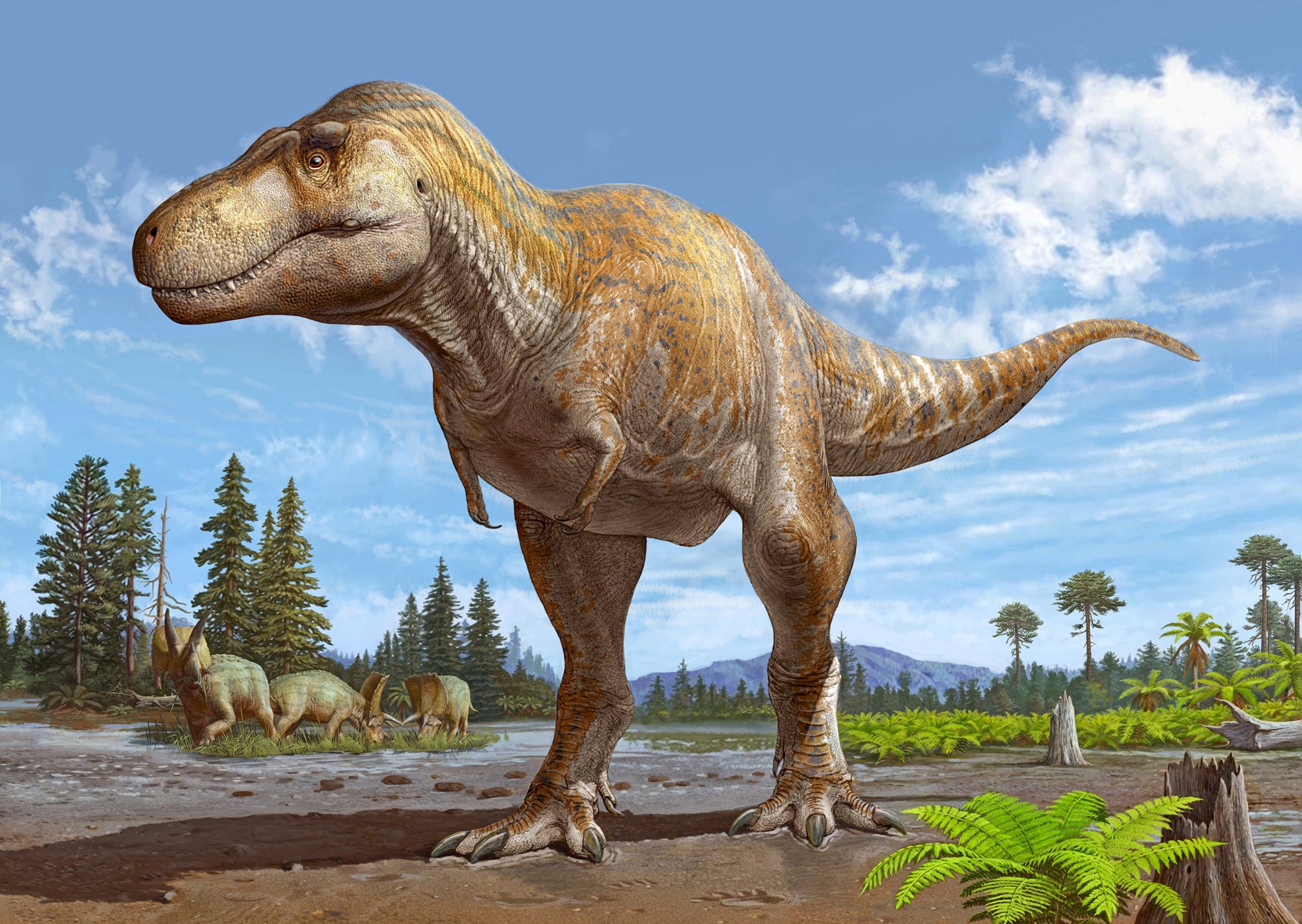 Η διαμάχη για τον τυραννόσαυρο που έζησε πριν από τον τυραννόσαυρο