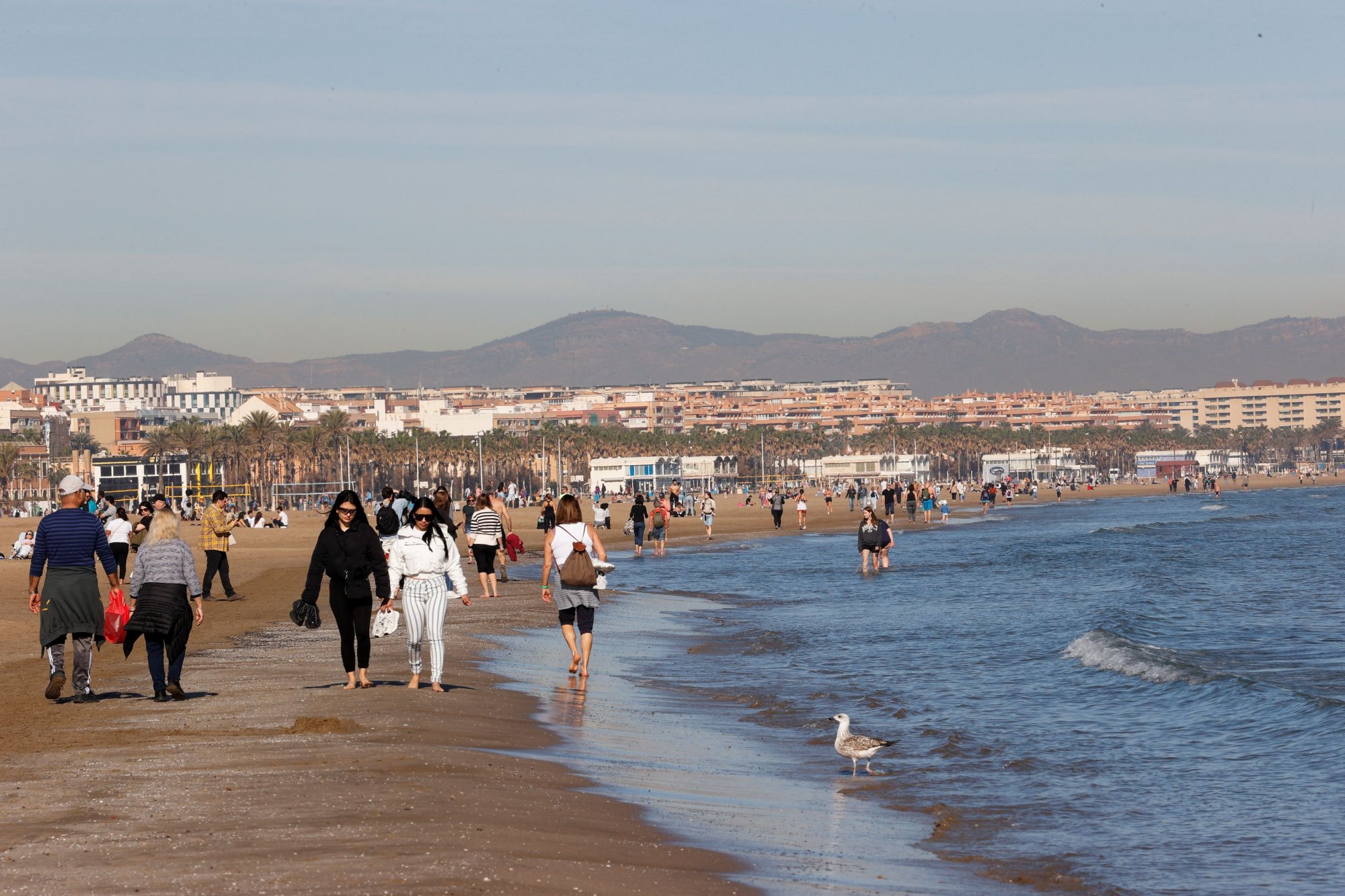 Ισπανία: Στην παραλία για ηλιοθεραπεία κάτοικοι και τουρίστες - Κύμα ζέστης πλήττει τη χώρα εν μέσω του χειμώνα