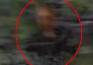 Φάντασμα εντοπίστηκε απο TikToker σε νεκροταφείο και έγινε viral – «Δεν είμαστε μόνοι μας»