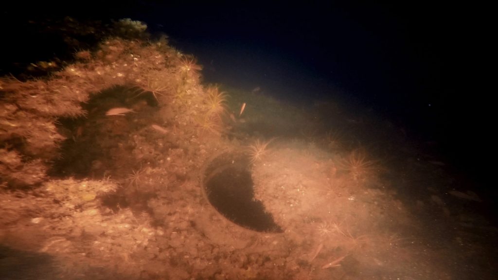 Δύτες βρήκαν «ατόφιο» Γαλλικό υποβρύχιο από τον Α’ ΠΠ στον Θερμαϊκό