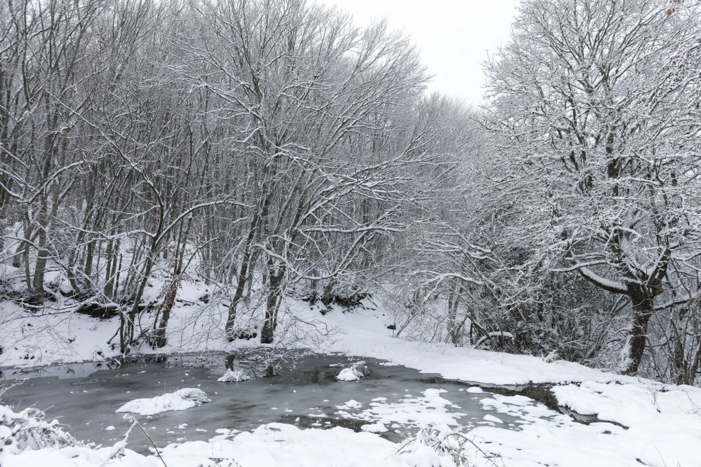 Κακοκαιρία Avgi: Πώς θα κινηθεί ο χιονιάς τις επόμενες ώρες