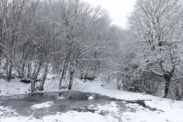 Κακοκαιρία Avgi: Πώς θα κινηθεί ο χιονιάς τις επόμενες ώρες