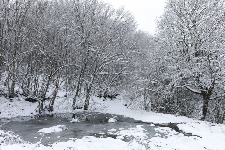 Κακοκαιρία Avgi: Πώς θα κινηθεί ο χιονιάς τις επόμενες ώρες