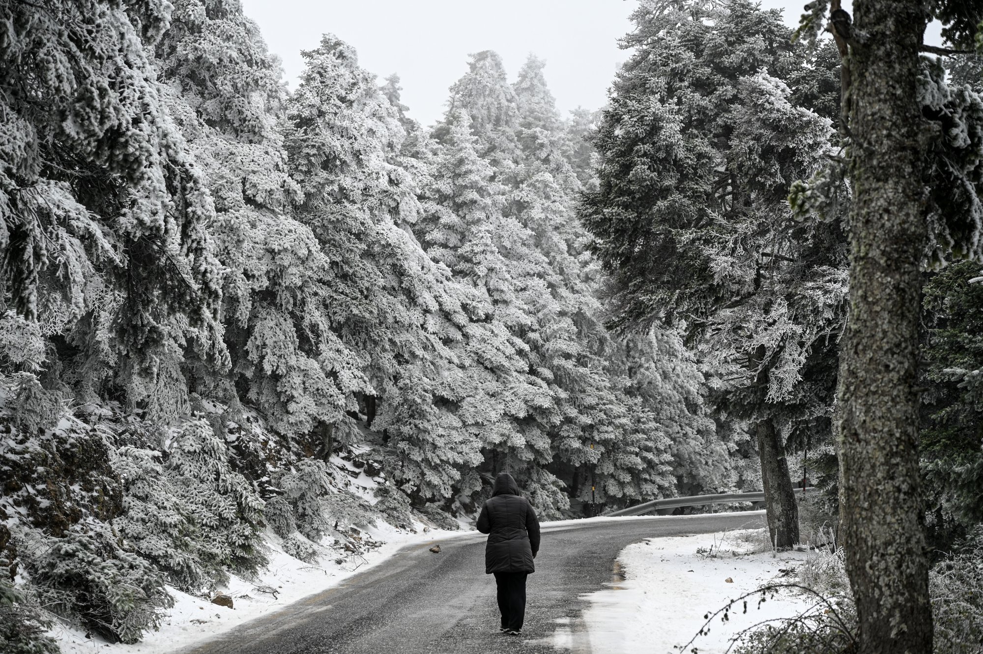 Κακοκαιρία: Ξεκίνησε η επέλαση του χιονιά - Έκλεισε ο δρόμος από το ύψος του τελεφερίκ [Χάρτες]