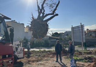 Στροφή στον πρωτογενή τομέα κάνει ο Δήμος Φυλής