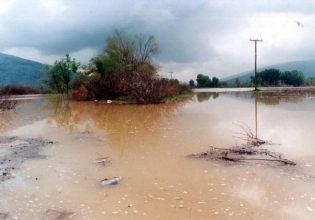 Υγειονομική βόμβα απειλεί την Φαρκαδόνα 