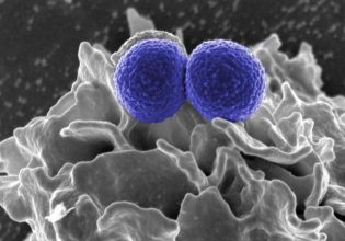 Πρώτη σε θανάτους από ανθεκτικά μικρόβια η Ελλάδα