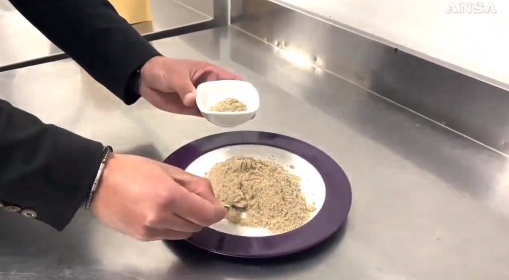 Ιταλία: «Είναι γεμάτο θρεπτικά συστατικά» – «Πράσινο» φως στο αλεύρι εντόμων για ανθρώπινη χρήση