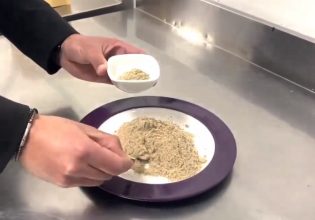 Ιταλία: «Είναι γεμάτο θρεπτικά συστατικά» – «Πράσινο» φως στο αλεύρι εντόμων για ανθρώπινη χρήση