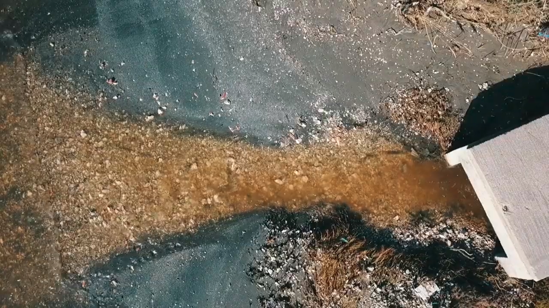 Αργολίδα: Θλιβερές εικόνες από την εκτεταμένη ρύπανση στη θάλασσα