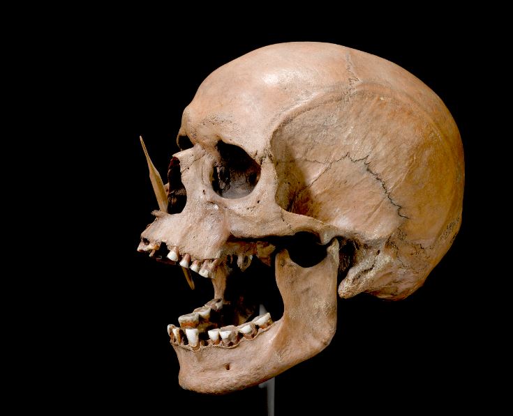 Ο άνθρωπος Porsmose που χρονολογείται τη Νεολιθική περίοδο και βρέθηκε με ένα κεφάλι βέλους στη μύτη το 1947 στην περιοχή Porsmose της Δανίας. Copyright: The Danish National Museum