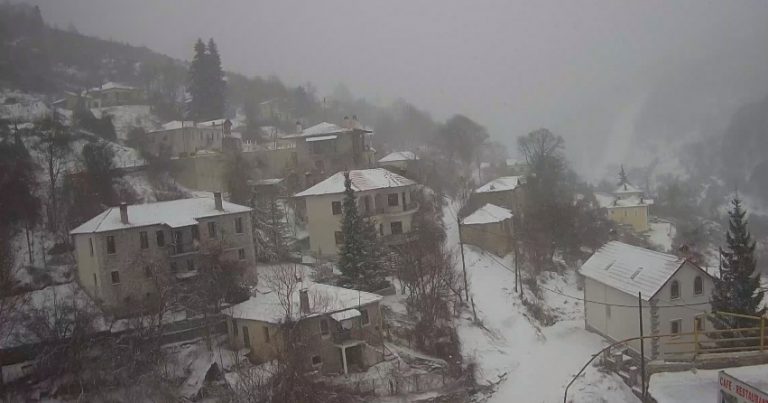 Φλώρινα: Στα λευκά ντύθηκε η πόλη της Μακεδονίας – Πυκνή χιονόπτωση από το πρωί