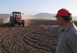 Ομάδες παραγωγών: Εξομοιώνονται με τις …αγροτικές εκμεταλλεύσεις – Τα φορολογικά οφέλη