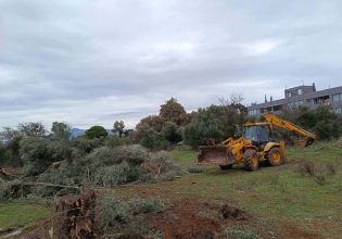 Δήμος Παιανίας: Ξεκίνησε το έργο της Λεωφόρου Παλαιοπαναγιάς