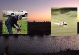 Μεσολόγγι: Πώς βρέθηκε η σορός του Μπάμπη – Ο ειδικά εκπαιδευμένος σκύλος εντοπισμού πτωμάτων