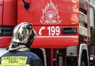 Συναγερμός για πυρκαγιά σε pet shop στον Κορυδαλλό – Στο σημείο ισχυρές δυνάμεις της Πυροσβεστικής