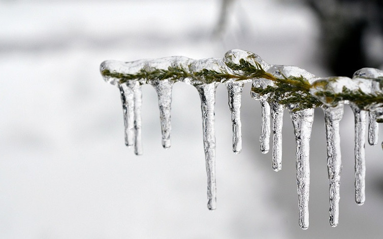 Meteo: Ισχυρός παγετός στη Δυτική Μακεδονία - Στους -18 βαθμούς η θερμοκρασία στη Φλώρινα