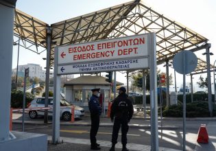 Θεσσαλονίκη: Επίθεση από αδέσποτο σκύλο σε βρέφος – Μεταφέρθηκε στο νοσοκομείο