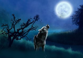 Φεγγάρι του Λύκου: Έφτασε η πρώτη πανσέληνος του 2024