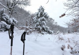Ανοιξιάτικος ο καιρός και την Παρασκευή – Τσουχτερό κρύο και χιόνια από αύριο