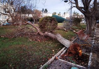 Αττική: Στα βόρεια προάστια τα μεγαλύτερα προβλήματα από την κακοκαιρία – 115 κλήσεις στην Πυροσβεστική