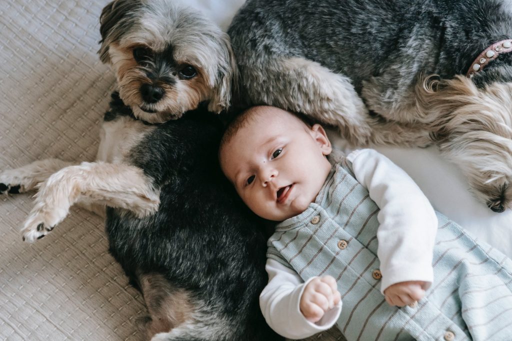 Πώς θα συστήσετε στον σκύλο το μωρό – Η ευεργετική επίδραση του χνουδωτού σας φίλου στη ζωή του