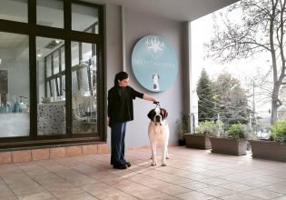 Ο προστάτης, παιχνιδιάρης, πανέξυπνος και γιγαντιαίων διαστάσεων σκύλος Αγίου Βερνάρδου