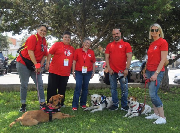 Βελτιώνουν την υγεία και τον ψυχικό κόσμο ιδιαίτερων ανθρώπων οι σκύλοι θεραπείας