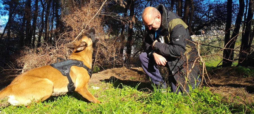 Οι σκύλοι έρευνας και διάσωσης που σώζουν ανθρώπινες ζωές