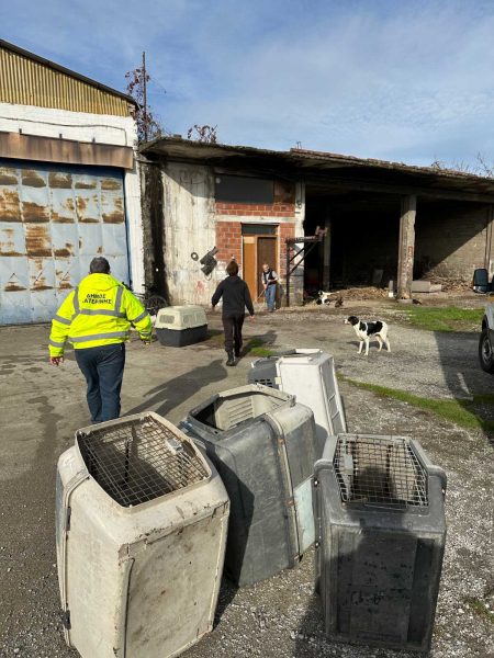 Επιχείρηση περισυλλογής 27 ημιδεσποζόμενων ζώων στο Δήμο Κατερίνης