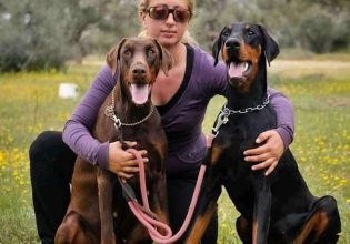 Ντόμπερμαν: Στοργικός, προστάτης, πανέξυπνος και δραστήριος