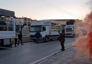 Φρένο στις ελληνοποιήσεις ζητούν οι μελισσοκόμοι Χαλκιδικής – «Μας οδηγούν στον αφανισμό»