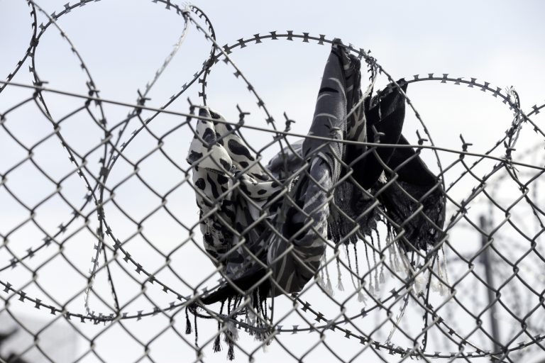 Ευρωβουλευτές και ΜΚΟ καταγγέλλουν: Το κράτος δικαίου στην Ελλάδα αμαυρώνεται από βία, pushbacks και διώξεις