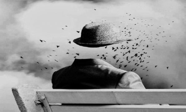 Να μην αφήσουν την κυβέρνηση σε χλωρό κλαρί σκοπεύουν οι αγρότες, να μην μείνει ούτε ξερό κλαρί από τον ΣΥΡΙΖΑ ο Κασσελάκης