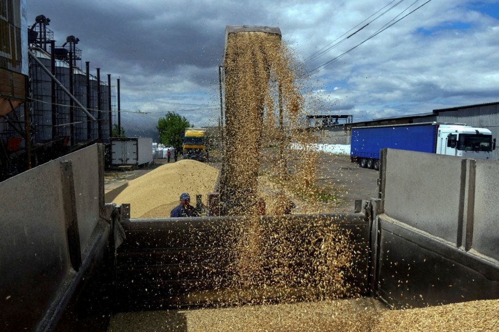 Ρωσία: Απέστειλε 200.000 τόνους δωρεάν σιτηρών σε έξι αφρικανικές χώρες