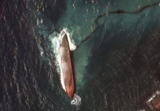 Πετρελαιοκηλίδα στην Καραϊβική: 35.000 βαρέλια μαζούτ καταστρέφουν το θαλάσσιο οικοσύστημα