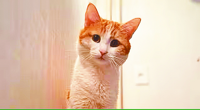 Τουίξ, για όσα δεν λέμε