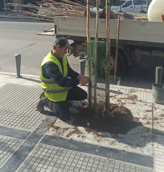 Θεσσαλονίκη: 1000 νέα δένδρα σε 5 εβδομάδες