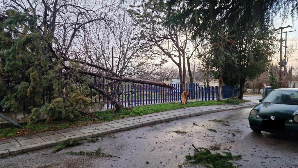 Πτώσεις δέντρων έκλεισαν τα… σχολεία σε περιοχή της Θεσσαλονίκης