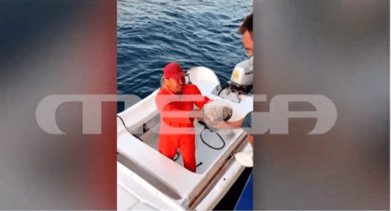 Βίντεο ντοκουμέντο: Όταν ο Άρης πήγαινε καλούδια στον Τζόνσον – Μαζί με την οικογένεια Καρνέση σε δεξιώσεις