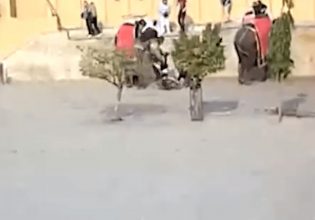 Τρομακτικό βίντεο – Η στιγμή που ελέφαντας στριφογυρίζει τουρίστρια σαν κούκλα