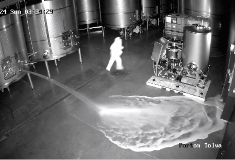 Στα πράσα πιάστηκε ένας σαμποτέρ σε οινοποιείο - Πώς 60.000 λίτρα πανάκριβο κρασί κατέληξαν στο πάτωμα