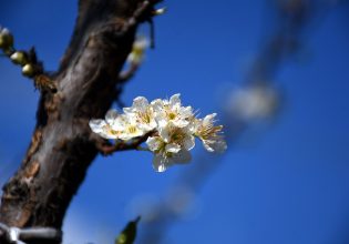 Καιρός: 7 απαντήσεις για τις συνθήκες που θα επικρατήσουν τις επόμενες μέρες – Πώς επιδρά ο «Ωμέγα Εμποδιστής»