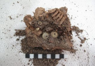 Αίγινα: Σκελετό μωρού με σύνδρομο Down στην Αρχαία Ελλάδα έφερε στο φως ανασκαφή