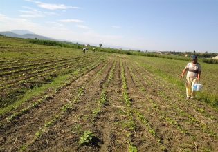 Βουλή: Συνεχίζεται η επεξεργασία του νομοσχεδίου για την ενίσχυση της αγροτικής ανάπτυξης