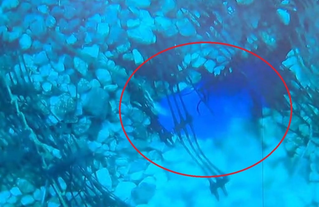 Αίγινα: Βίντεο ντοκουμέντο με τη δολιοφθορά στον υποθαλάσσιο αγωγό ύδρευσης