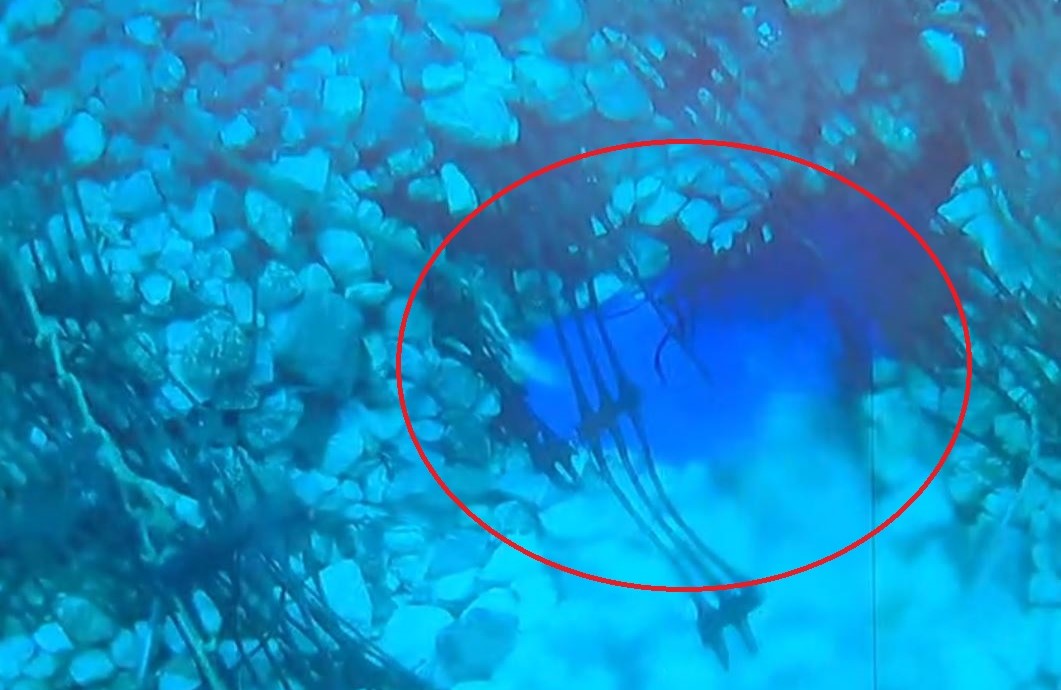 Αίγινα: Βίντεο ντοκουμέντο με τη δολιοφθορά στον υποθαλάσσιο αγωγό ύδρευσης