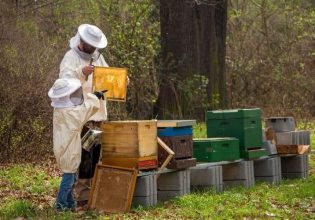 Μελισσοκόμοι: Πανελλαδική κινητοποίηση στην Αθήνα